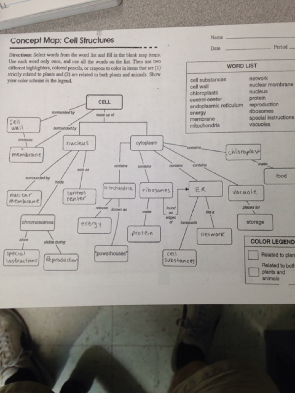 Cell Structure Concept Map Sulli S Science Site